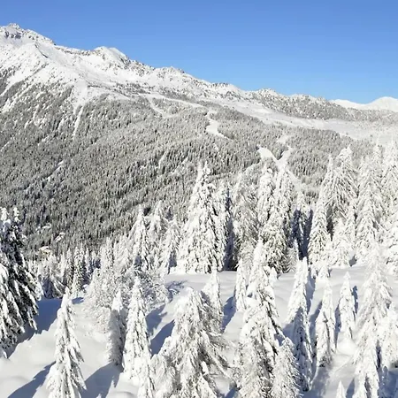 Apartment Tuckett - A Large Flat For Families And Groups Of Friends Madonna di Campiglio